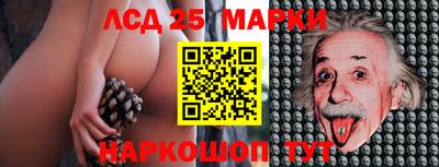 прущие крисы Краснознаменск