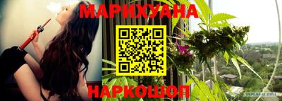 стафф Краснодар