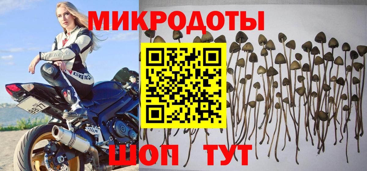 Галлюциногенные грибы MAGIC MUSHROOMS  Вход с VPN  Кириши 