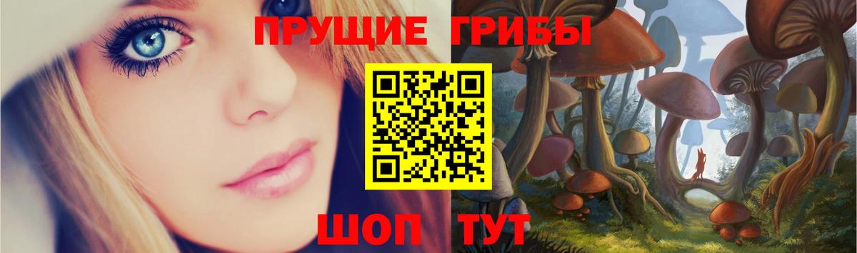 Псилоцибиновые грибы мицелий Кириши